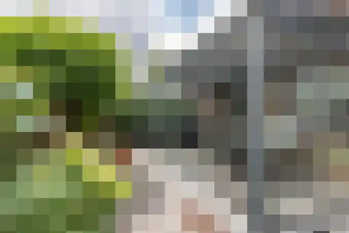 Poolster 24 Hoorn thumbnail 41
