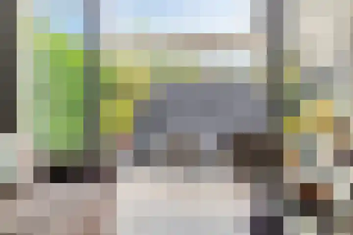 Poolster 24 Hoorn thumbnail 7