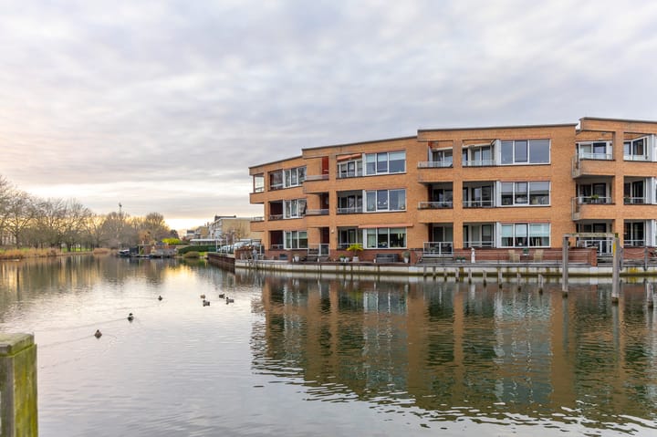 Poolster 27 in Hardinxveld-Giessendam foto