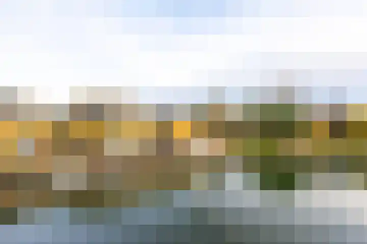 Poolster 27 Hardinxveld-Giessendam thumbnail 11