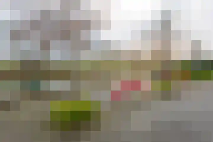 Poolster 27 Hardinxveld-Giessendam thumbnail 22