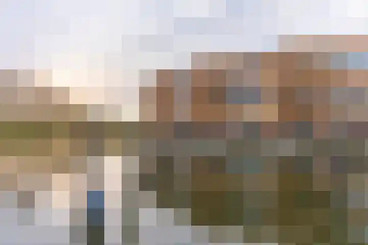 Poolster 27 Hardinxveld-Giessendam thumbnail 24