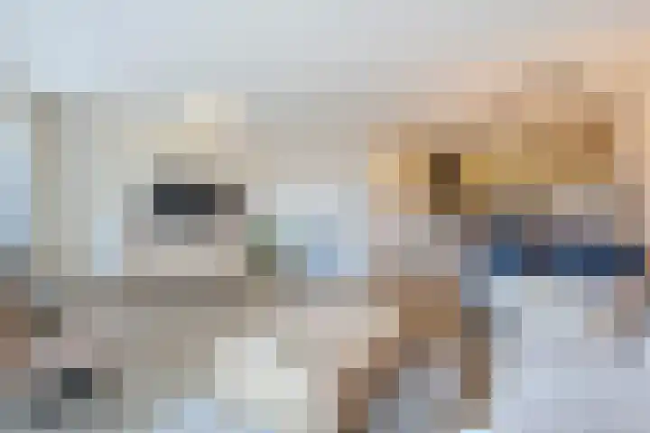 Poolster 27 Hardinxveld-Giessendam thumbnail 9