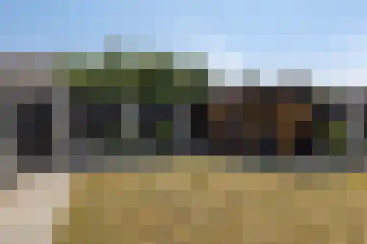 Poolster 35 Schijndel thumbnail 24