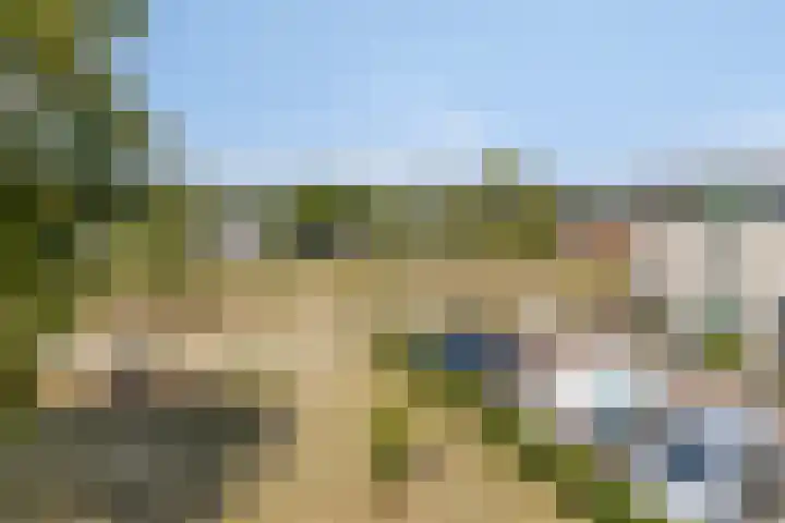 Poolster 35 Schijndel thumbnail 30