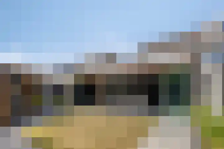 Poolster 35 Schijndel thumbnail 4