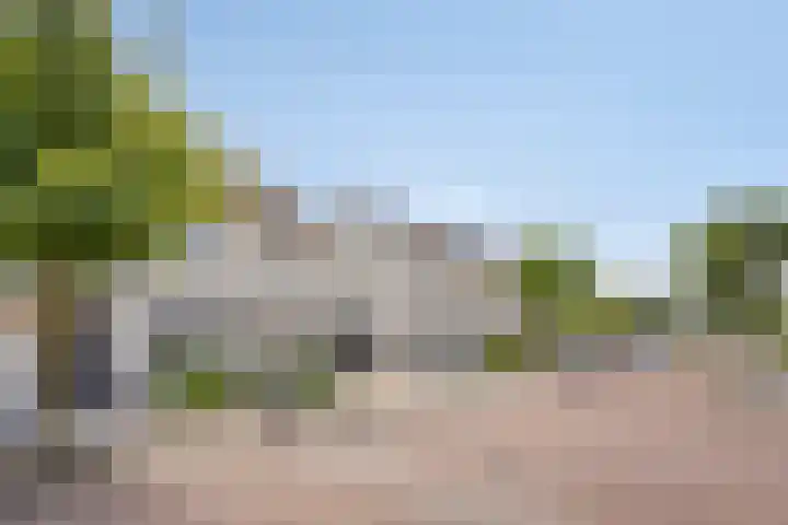 Poolster 35 Schijndel thumbnail 6