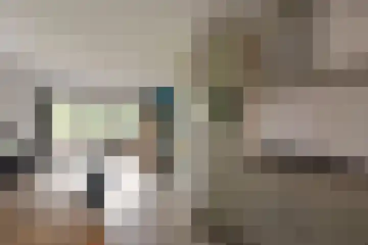 Poolster 74 Hoorn thumbnail 11