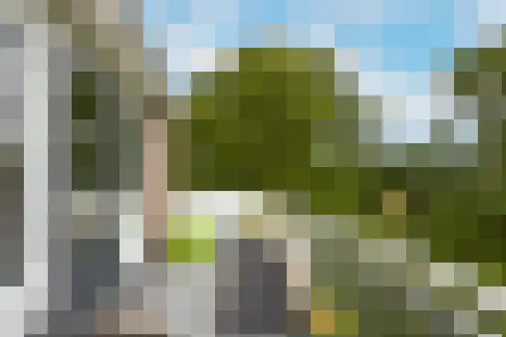 Poolster 74 Hoorn thumbnail 13