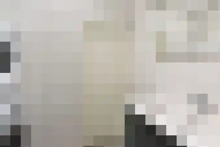 Poolster 74 Hoorn thumbnail 21