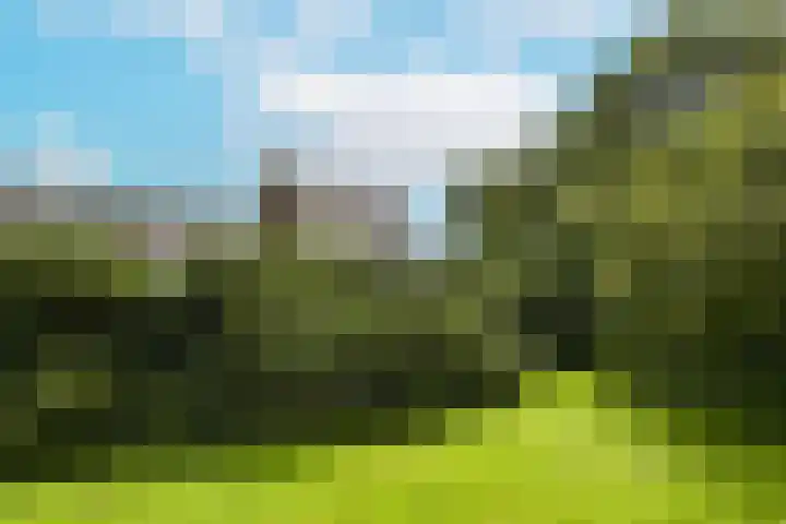Poolster 74 Hoorn thumbnail 22