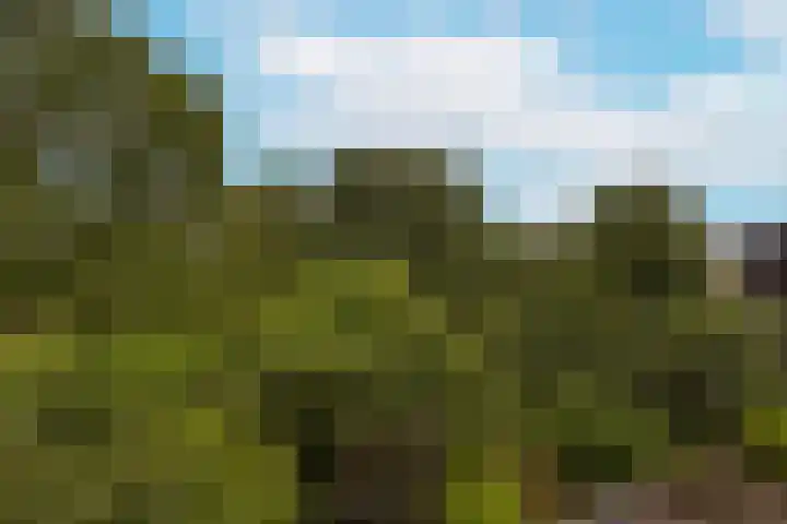 Poolster 74 Hoorn thumbnail 23