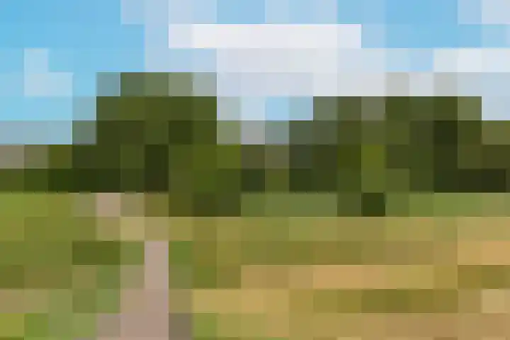 Poolster 74 Hoorn thumbnail 25