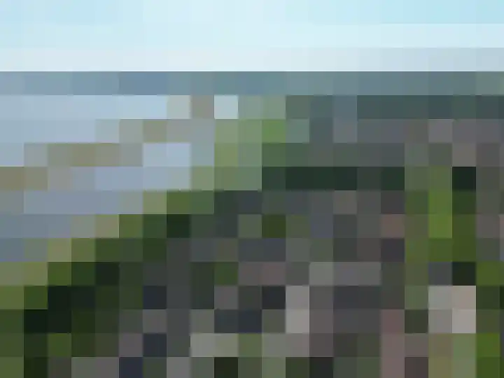 Poolster 74 Hoorn thumbnail 31