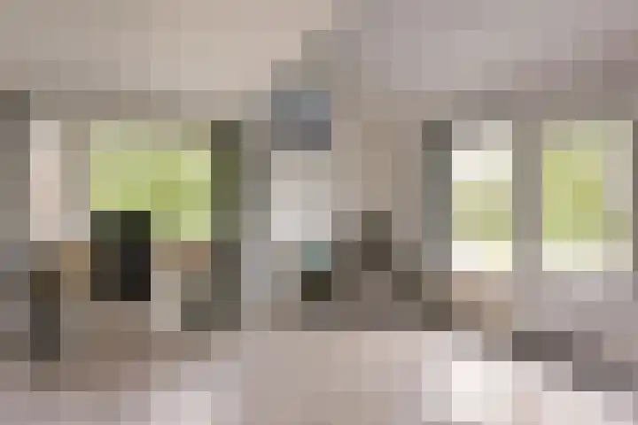 Poolster 74 Hoorn thumbnail 7
