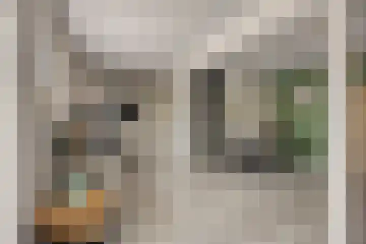 Poolsterlaan 16 Eindhoven thumbnail 11