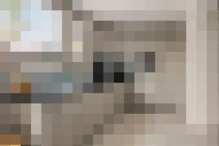 Poolsterlaan 16 Eindhoven thumbnail 13