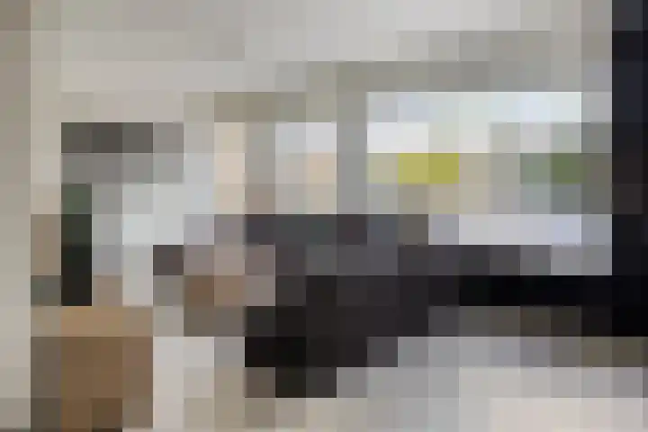 Poolsterlaan 16 Eindhoven thumbnail 4