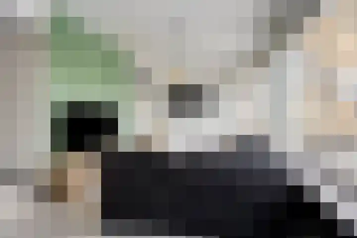 Poolsterlaan 16 Eindhoven thumbnail 5