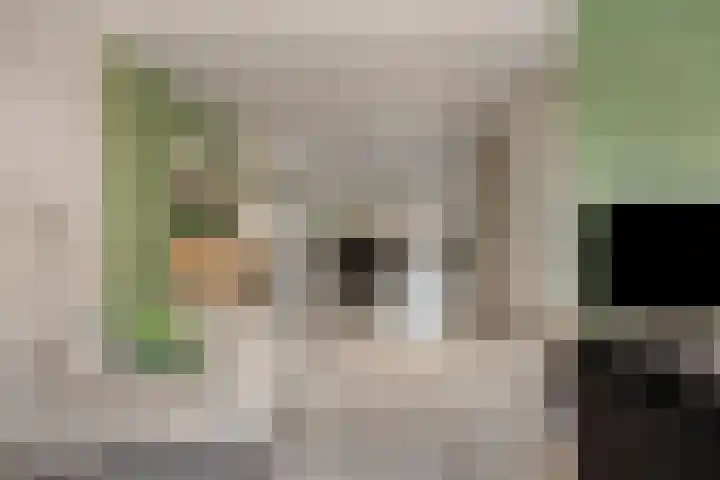 Poolsterlaan 16 Eindhoven thumbnail 8