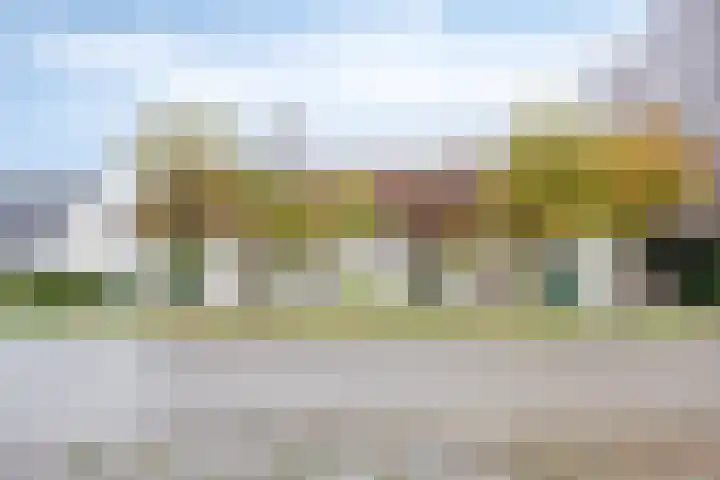 Poonhaven 7 Zaamslag