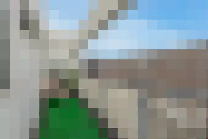 Poorterij 2 Leerdam thumbnail 19