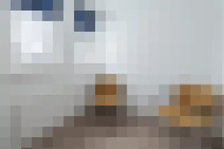 Poortersdreef 17 Amersfoort thumbnail 24