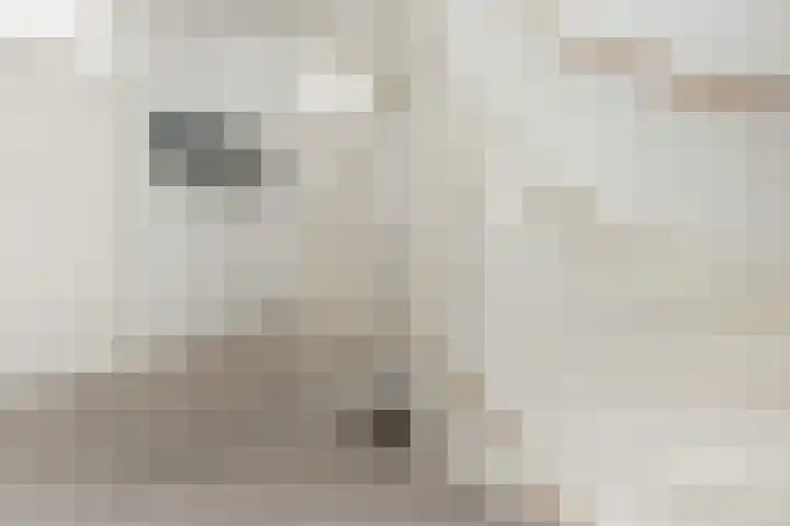 Poortersdreef 17 Amersfoort thumbnail 30