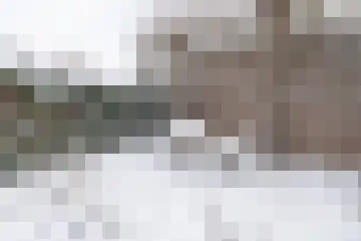 Poortersdreef 17 Amersfoort thumbnail 40