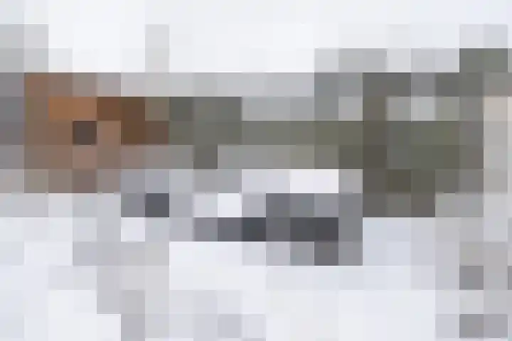 Poortersdreef 17 Amersfoort thumbnail 41