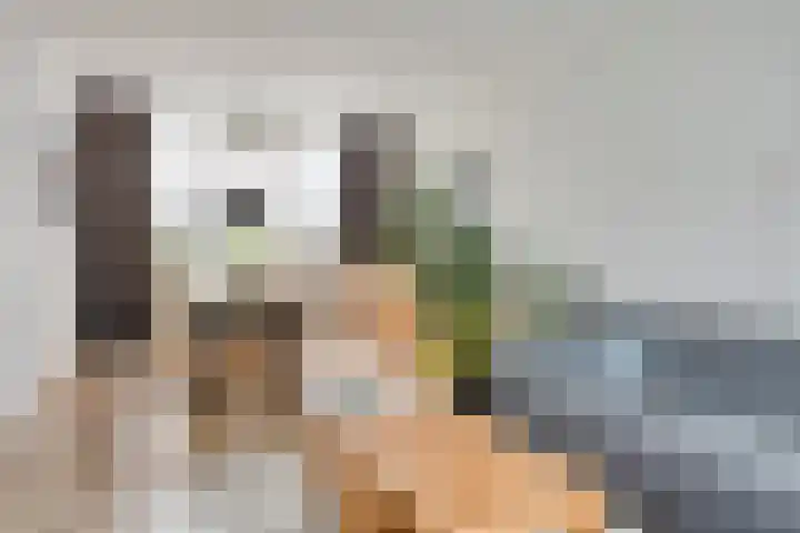 Poorterslaan 28 Hulst thumbnail 5