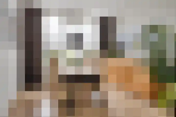 Poorterslaan 28 Hulst thumbnail 6