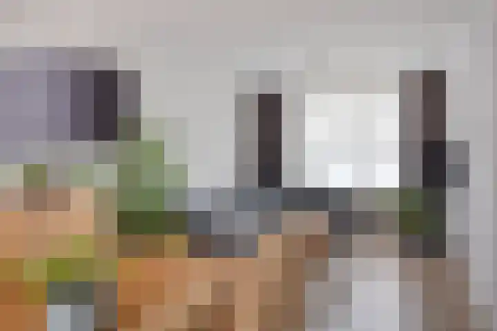 Poorterslaan 28 Hulst thumbnail 7
