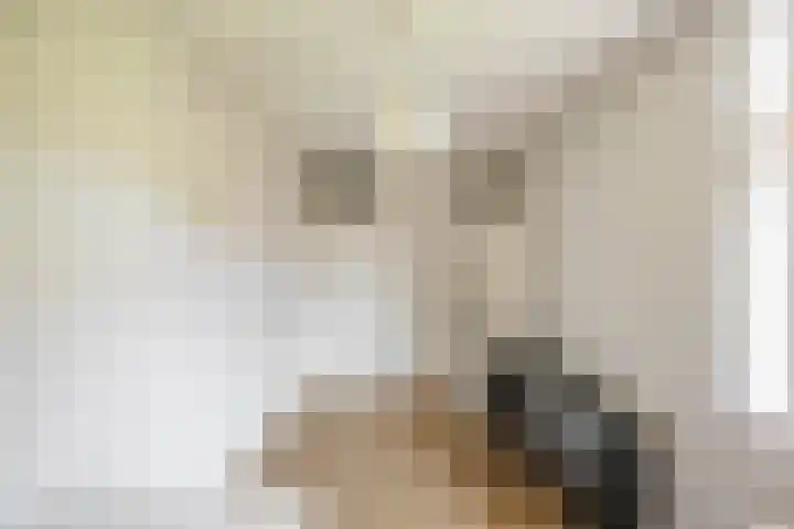 Poortersplein 19 Groningen thumbnail 23