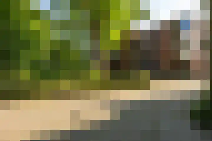 Poortersplein 19 Groningen thumbnail 4