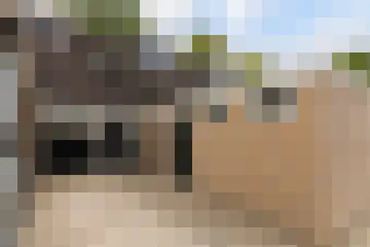 Poortersveld 106 Apeldoorn thumbnail 22