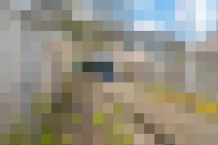 Poortersveld 111 Apeldoorn thumbnail 18