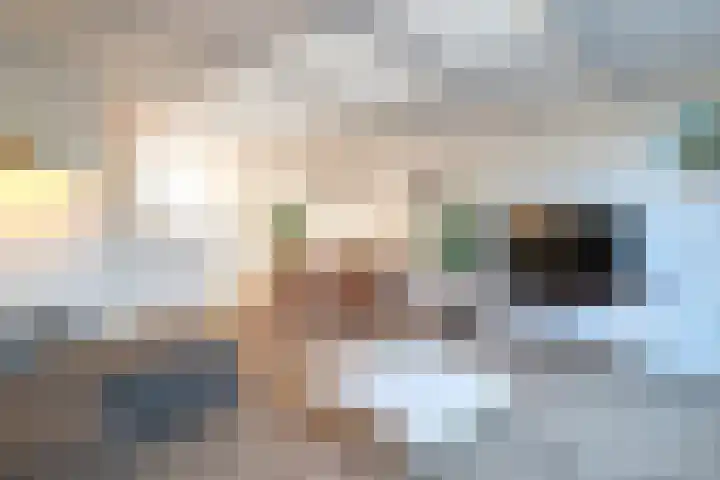 Poortkampen 8 Zuidhorn thumbnail 6