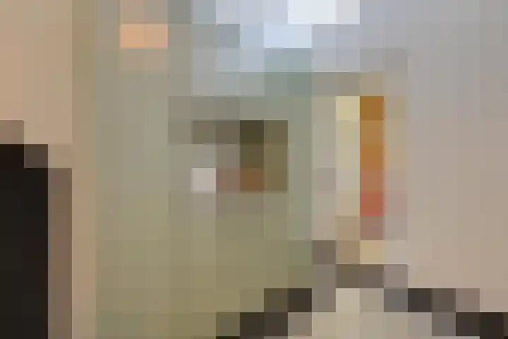 Poortstraat 2 Velp thumbnail 19