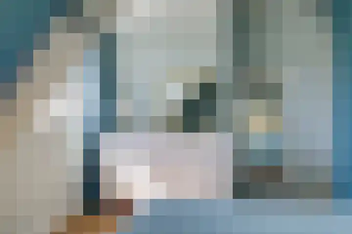 Poortstraat 2 Velp thumbnail 27