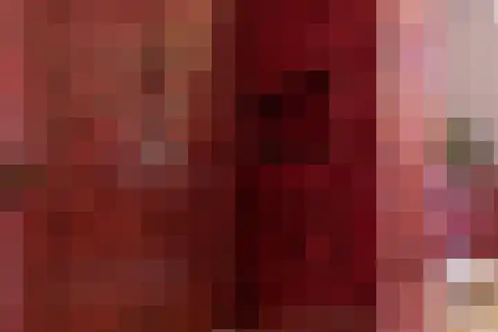 Poortstraat 2 Velp thumbnail 36