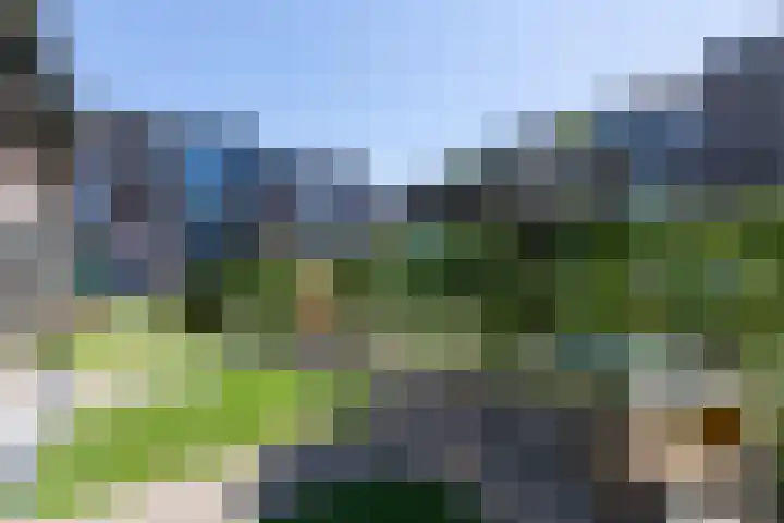 Poortstraat 2 Velp thumbnail 40