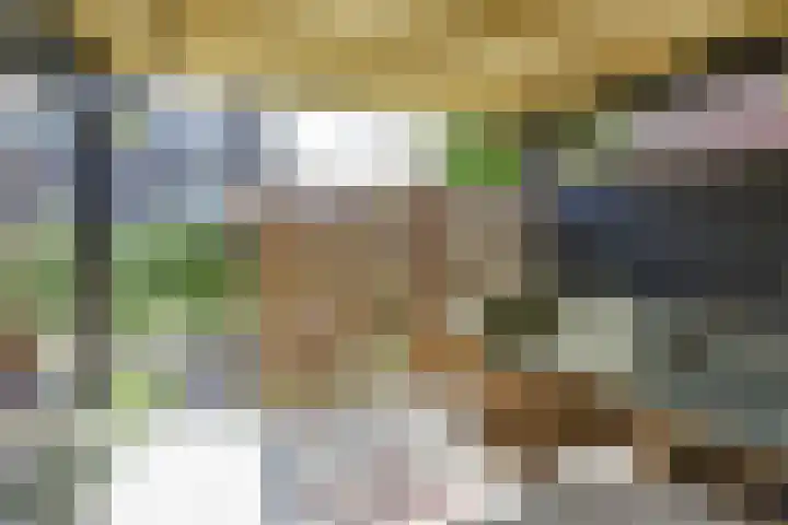Poortstraat 2 Velp thumbnail 42