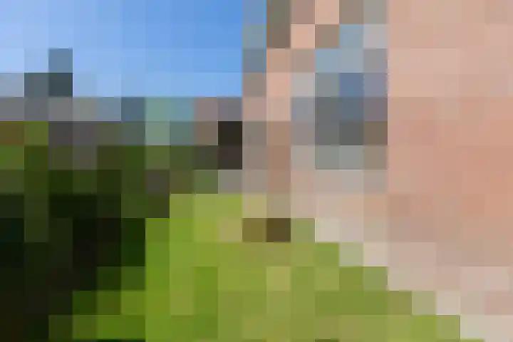 Poortstraat 2 Velp thumbnail 45