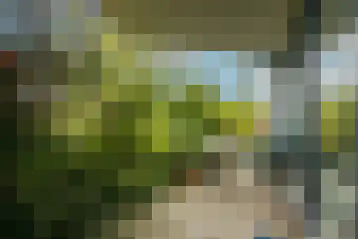 Poortweide 20 Wateringen thumbnail 21