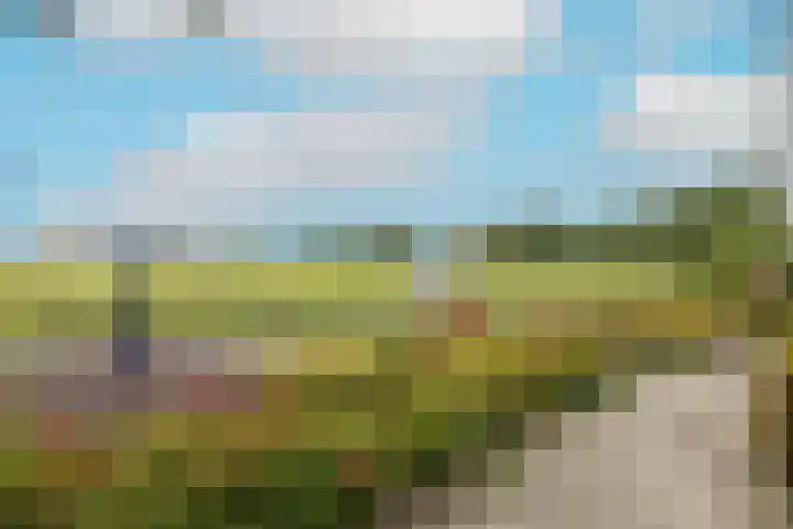 Poortweide 20 Wateringen thumbnail 24