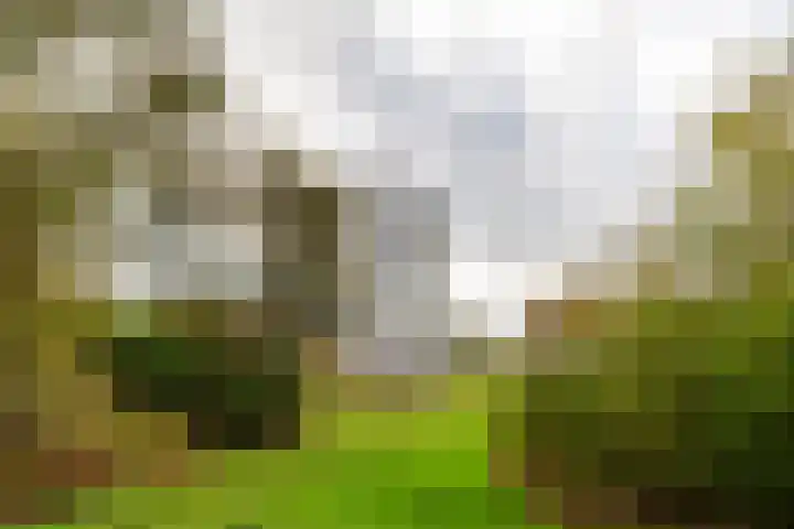 Poortweide 65 Wateringen thumbnail 35