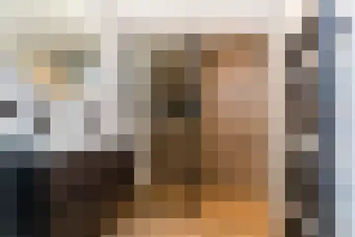 Poortweide 65 Wateringen thumbnail 4