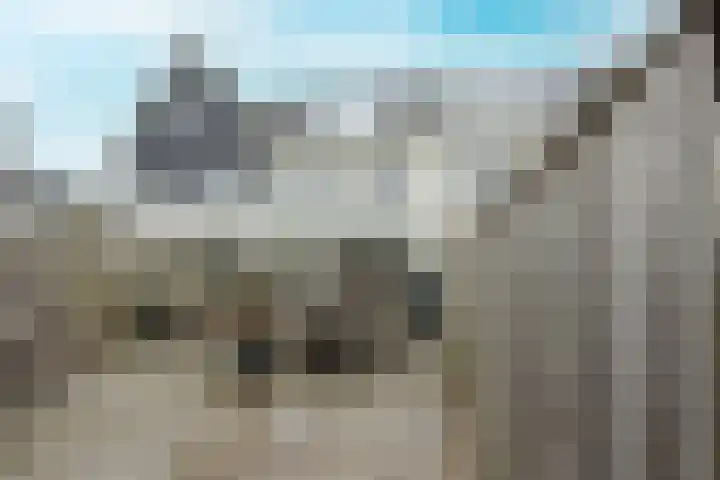 Popart 35 Dronten thumbnail 33