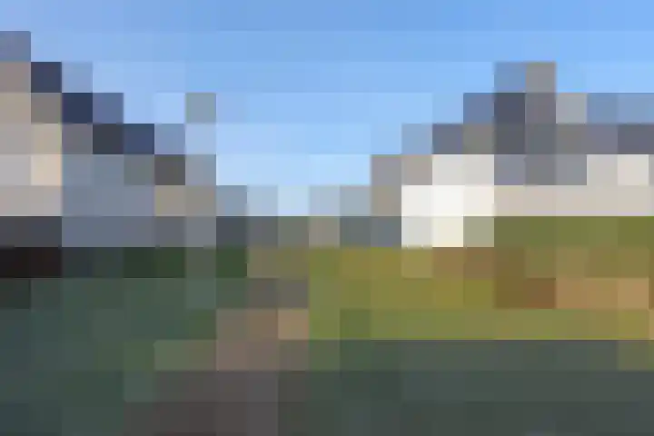 Popart 35 Dronten thumbnail 35